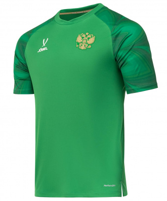 Футболка вратарская Jogel NATIONAL PerFormDRY GK Jersey, зеленый