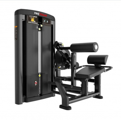 Protrain LFS135 Спина/пресс | Premium Fitness