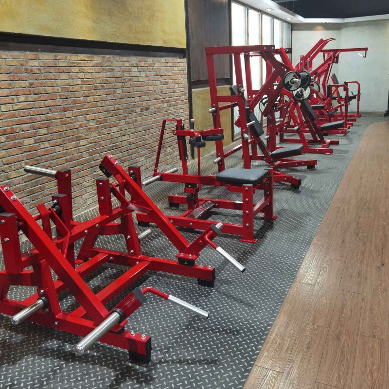 DHZ SMR2029 независимая становая тяга | Premium Fitness