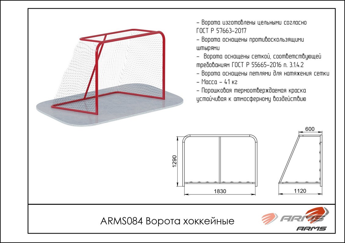 Ворота хоккейные ARMS ARMS084