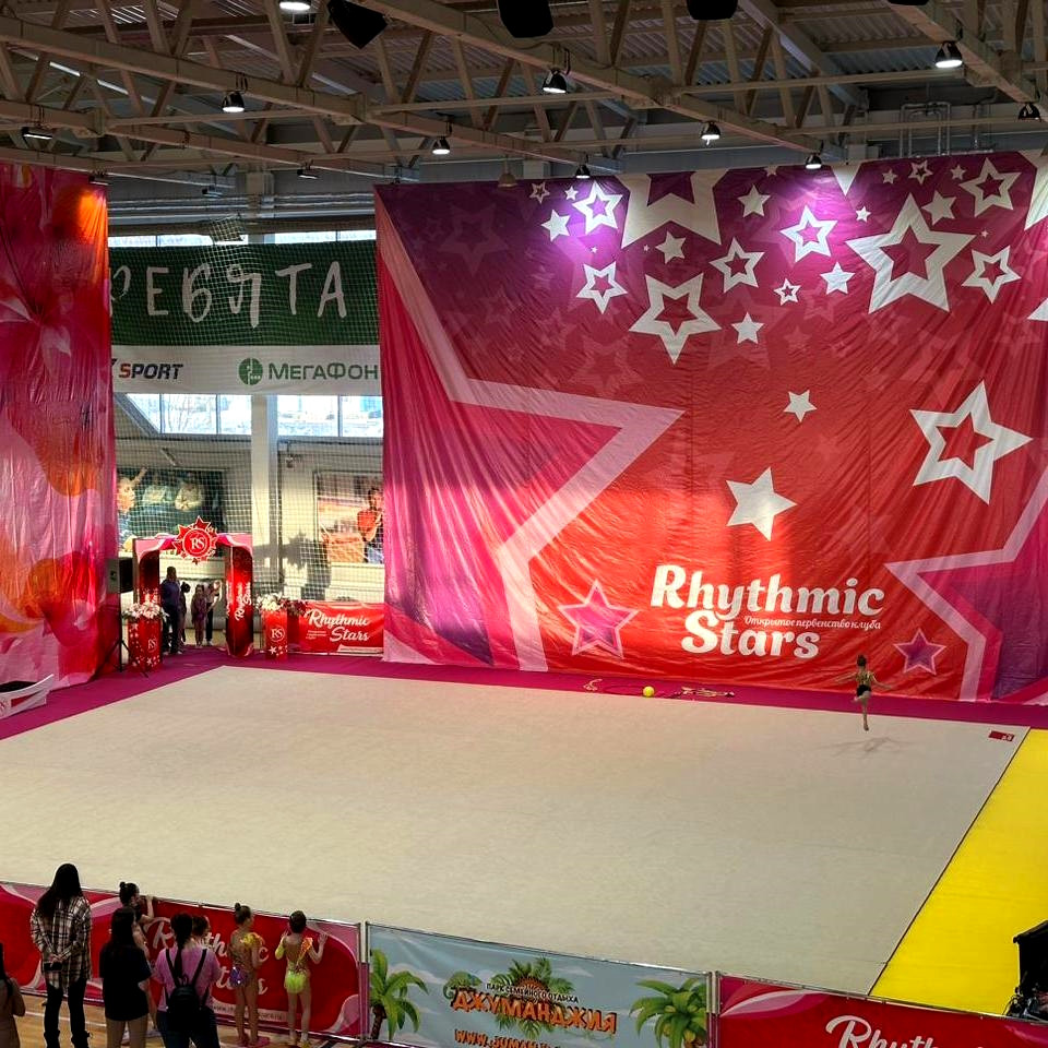 Ковер гимнастический GymSport PROF PREMIUM 4х2м