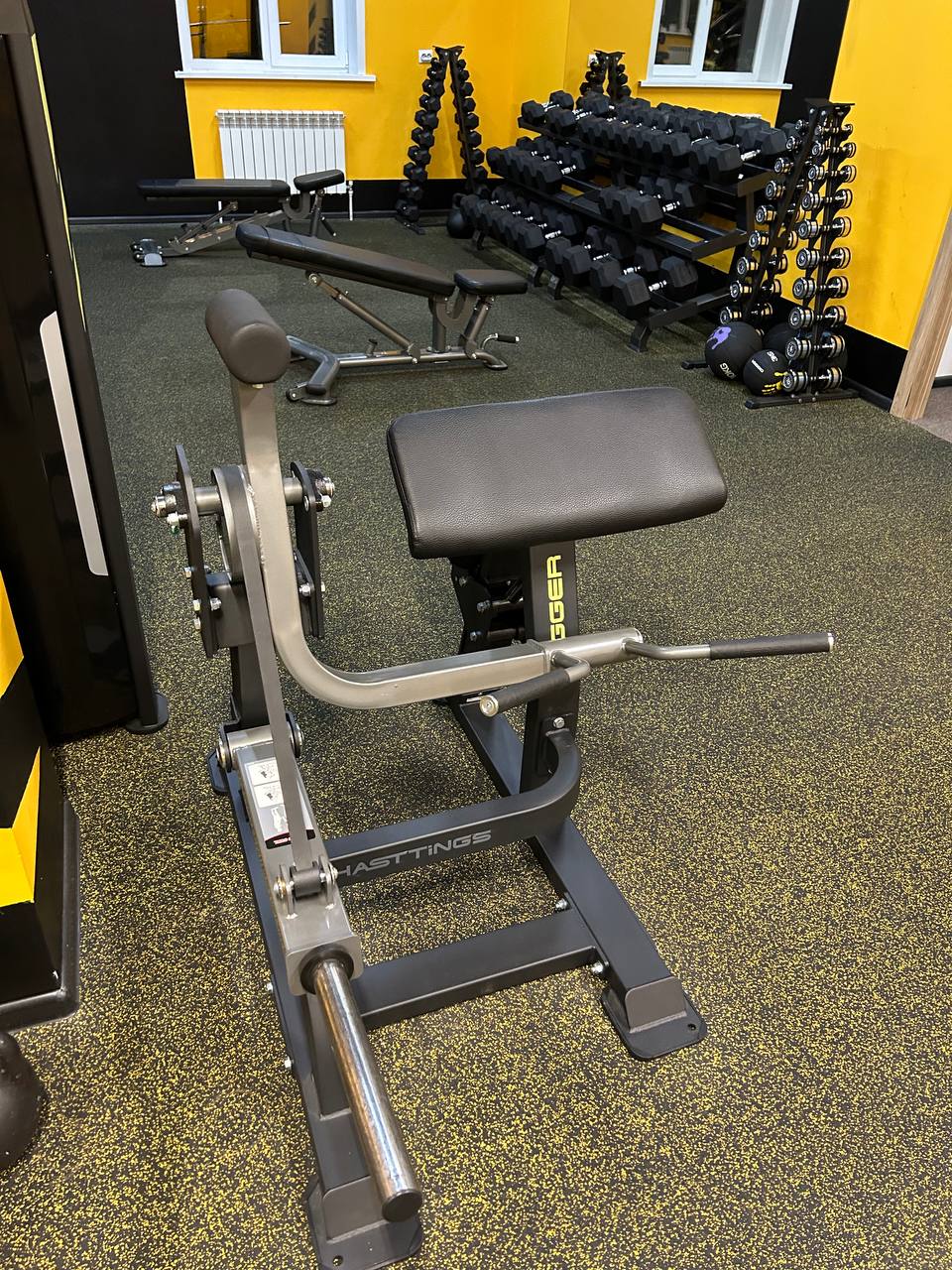 Бицепс сидя Hasttings Digger HD021-5 | Premium Fitness