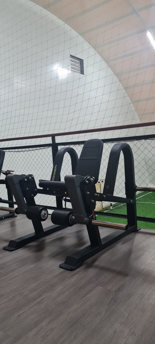 Разгибание ног сидя Hasttings Digger HD017-5 | Premium Fitness