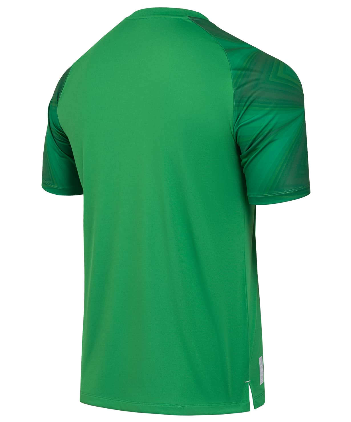 Футболка вратарская Jogel NATIONAL PerFormDRY GK Jersey, зеленый