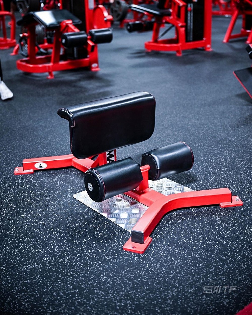 Скамья для приседаний Foreman FW-116 | Premium Fitness