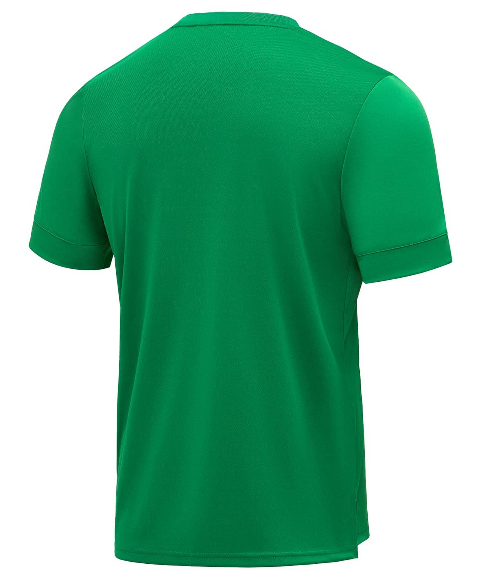 Футболка игровая Jogel Division PerFormDRY Union Jersey, зеленый