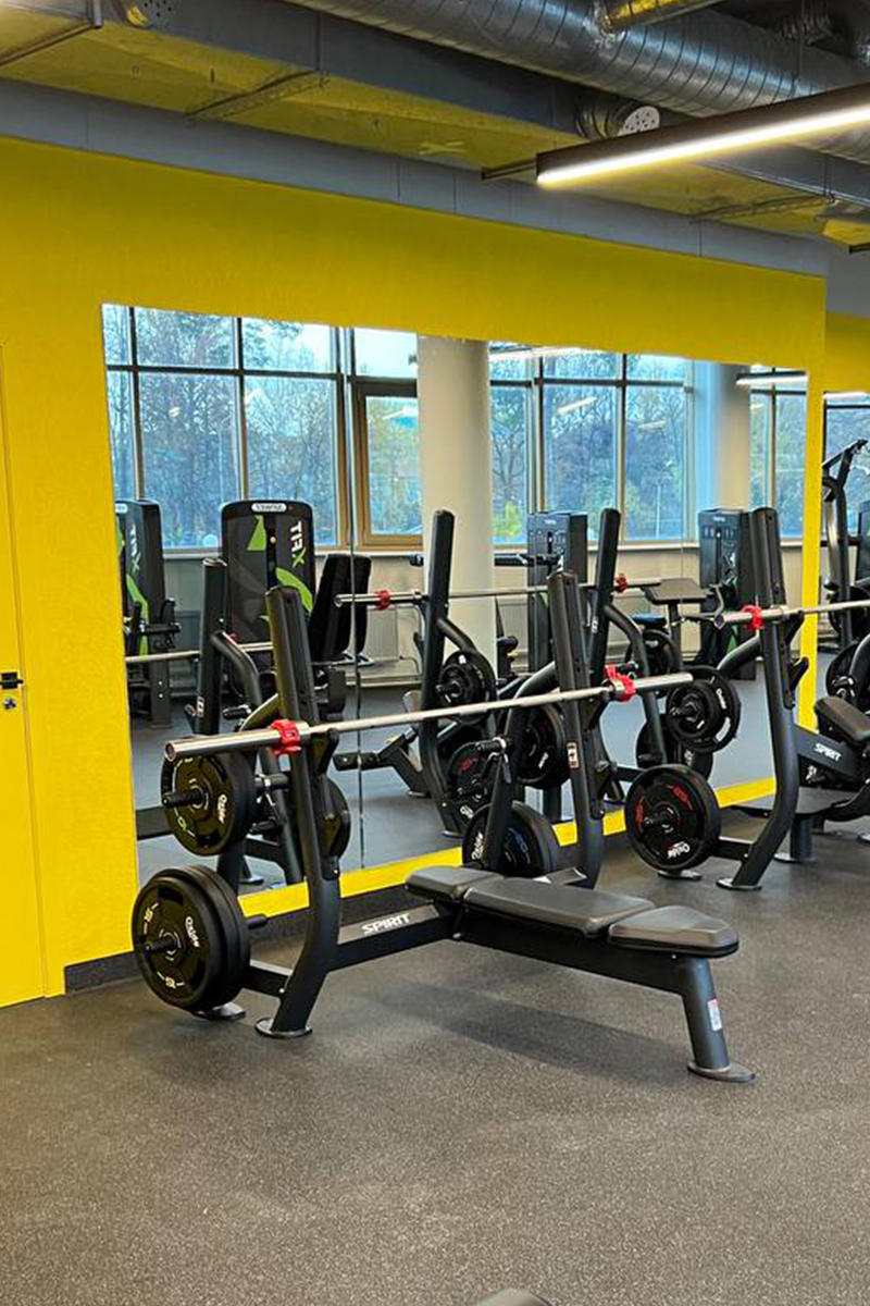Олимпийская скамья горизонтальная SPIRIT SP-4209 | Premium Fitness