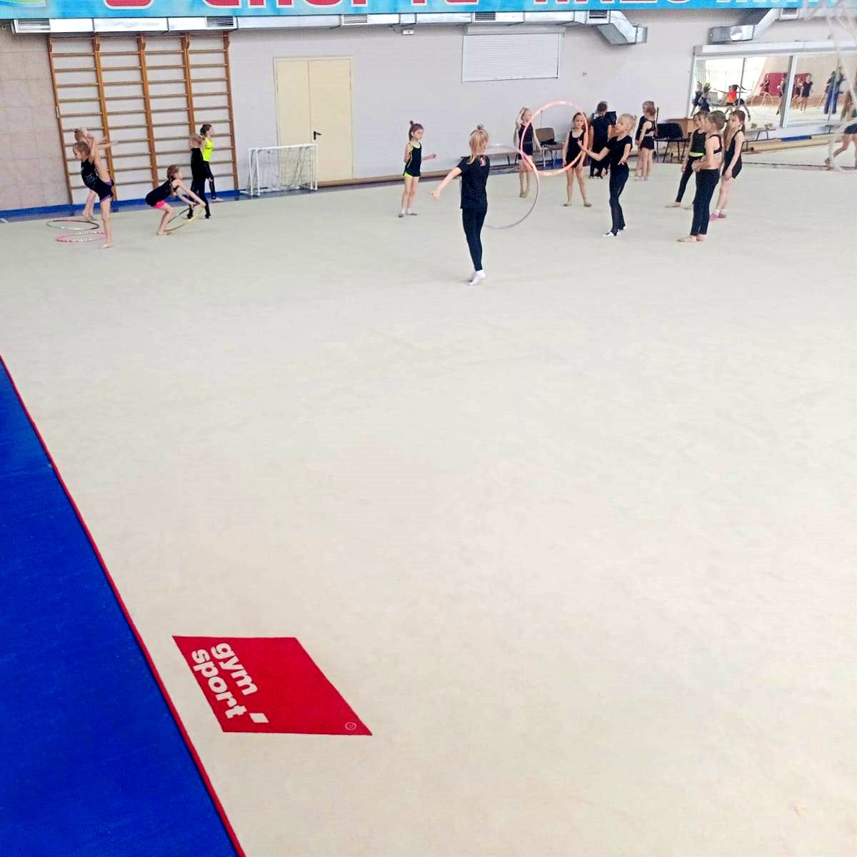 Ковер гимнастический GymSport PROF PREMIUM 4х2м
