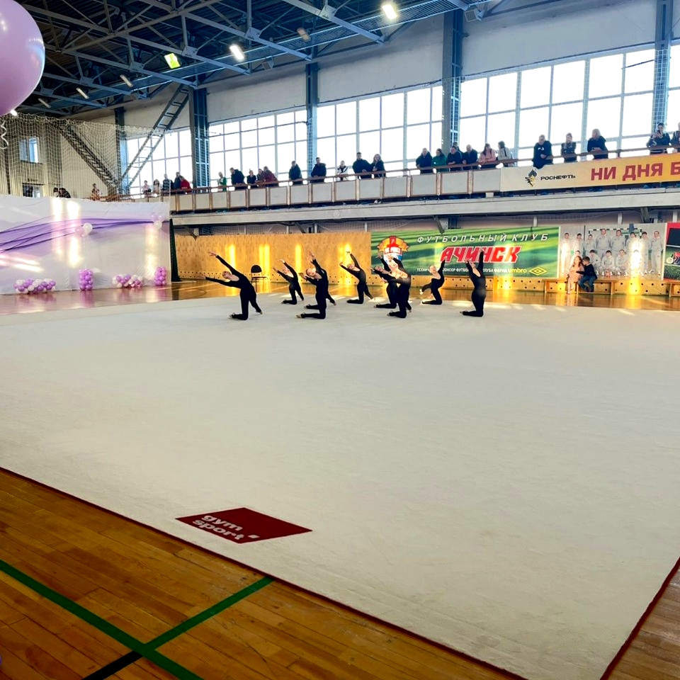 Ковер гимнастический GymSport PROF PREMIUM 4х2м