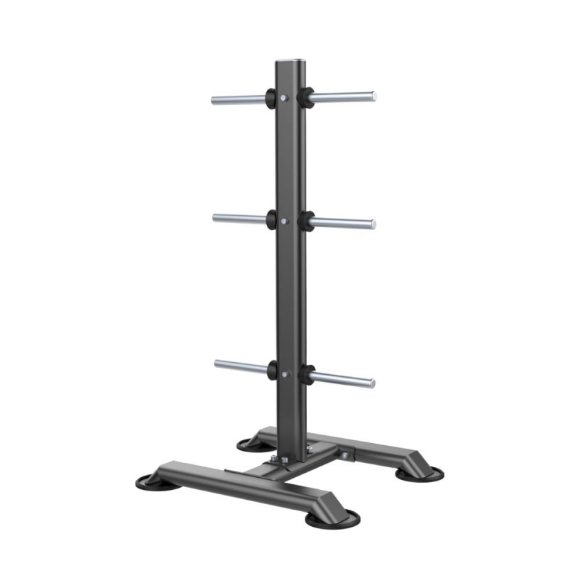 Стойка для олимпийских дисков DHZ U2054 | Premium Fitness