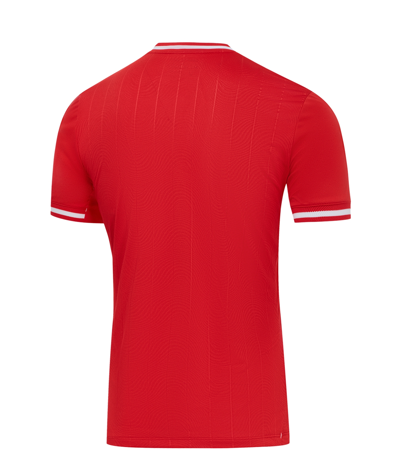 Футболка игровая Jogel PerFormDRY Spartak 25 Home Jersey, красный