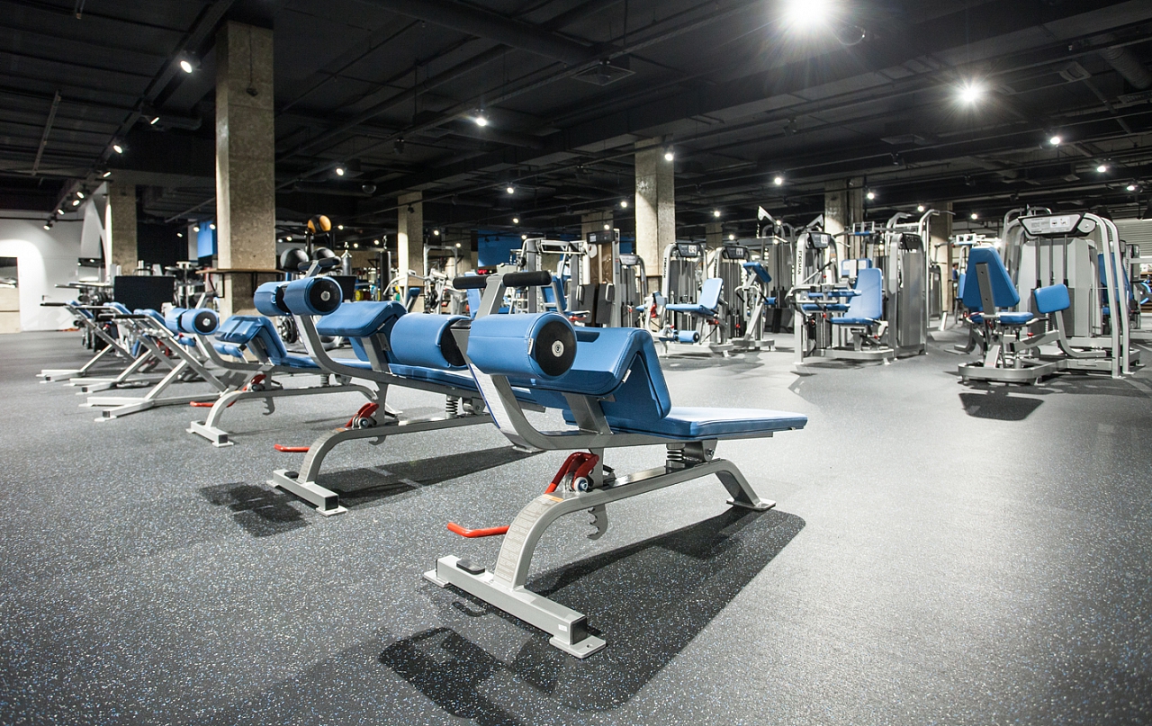 Скамья для пресса Foreman FW 512 | Premium Fitness