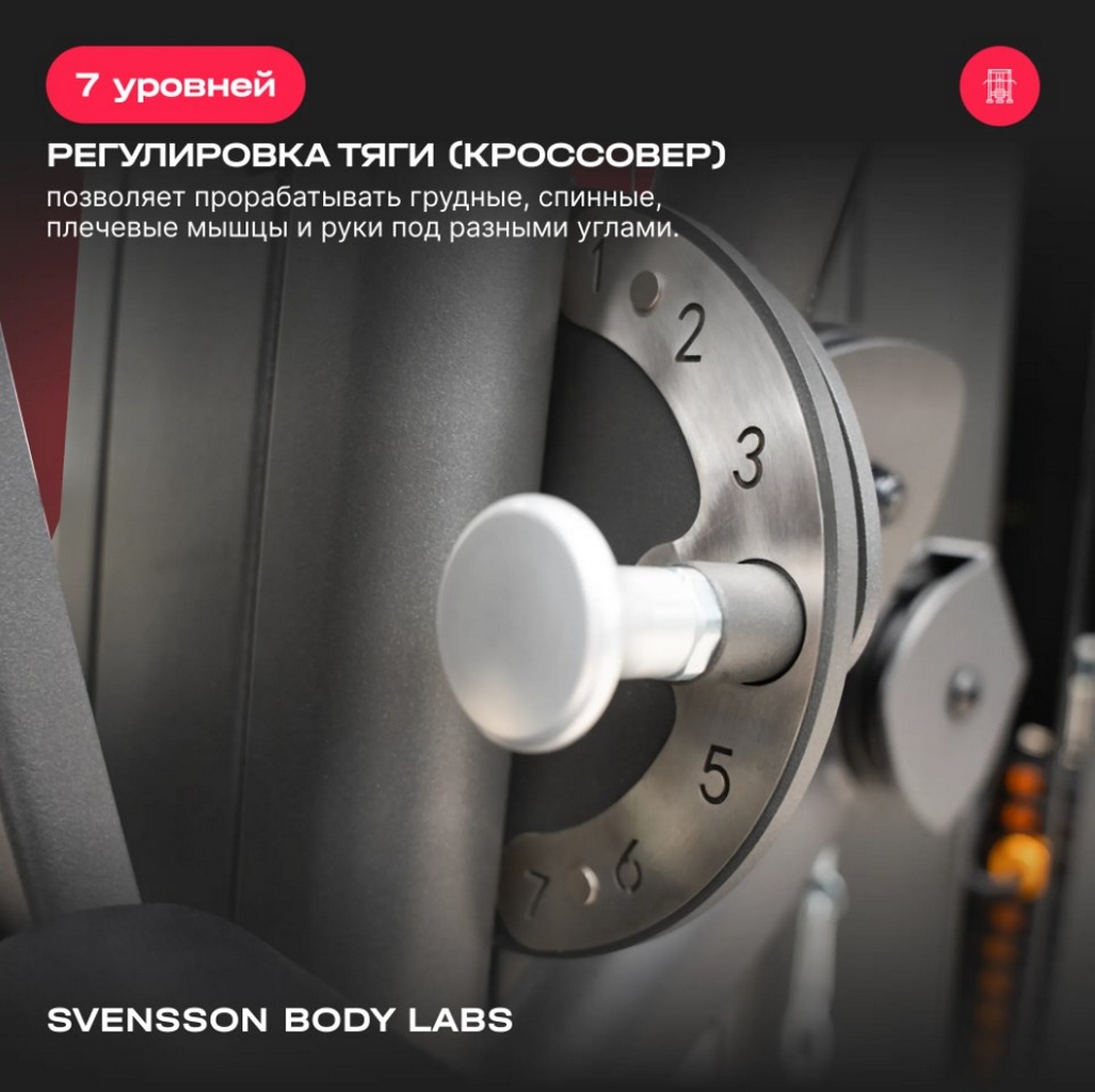 Силовой комплекс полукоммерческий Svensson Body Labs RIGEL PRO