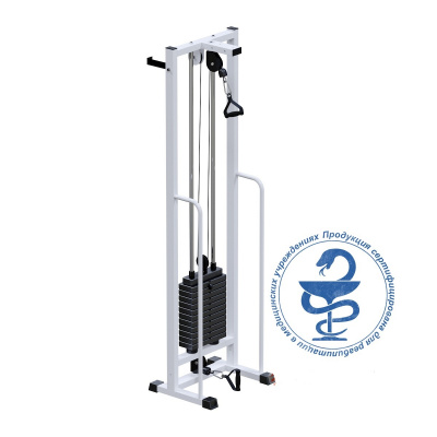 Salus AR060.1x2200 (стек 60 кг) ARMS | Premium Fitness