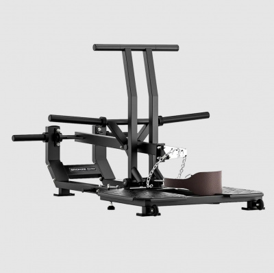 Приседание с поясом Bronze Gym RAVE RV14 Колодец BGRV14