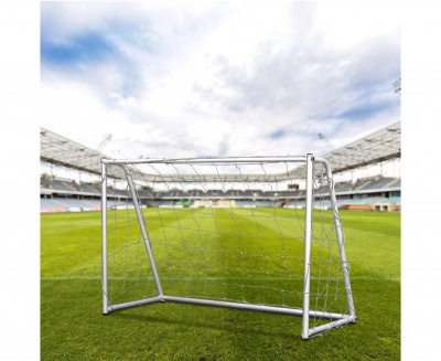Ворота игровые 120x80x55см DFC GOAL120