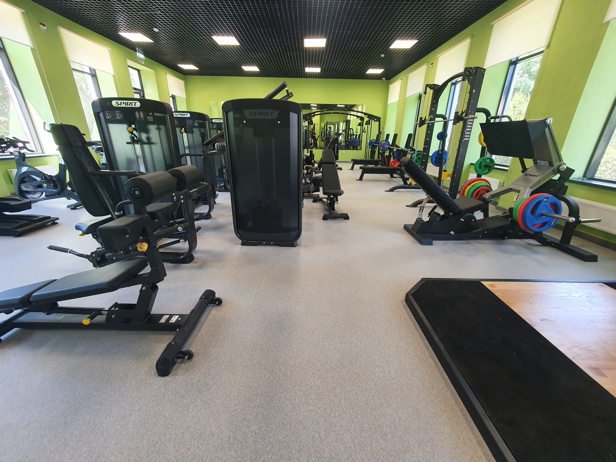 Олимпийская скамья горизонтальная SPIRIT SP-4209 | Premium Fitness