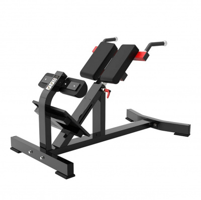 Гиперэкстензия ProTrain PP111