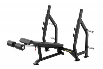 Скамья для жима с отрицательным углом наклона Hasttings Digger HD006-4 | Premium Fitness