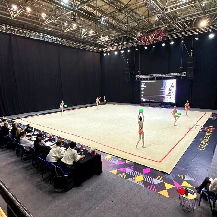 Ковер гимнастический GymSport PROF PREMIUM 4х2м