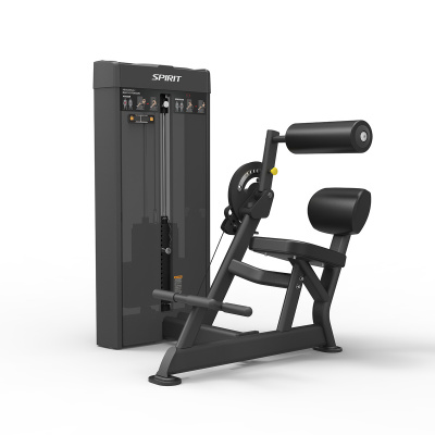 SPIRIT SP-4609 Пресс-разгибание спины