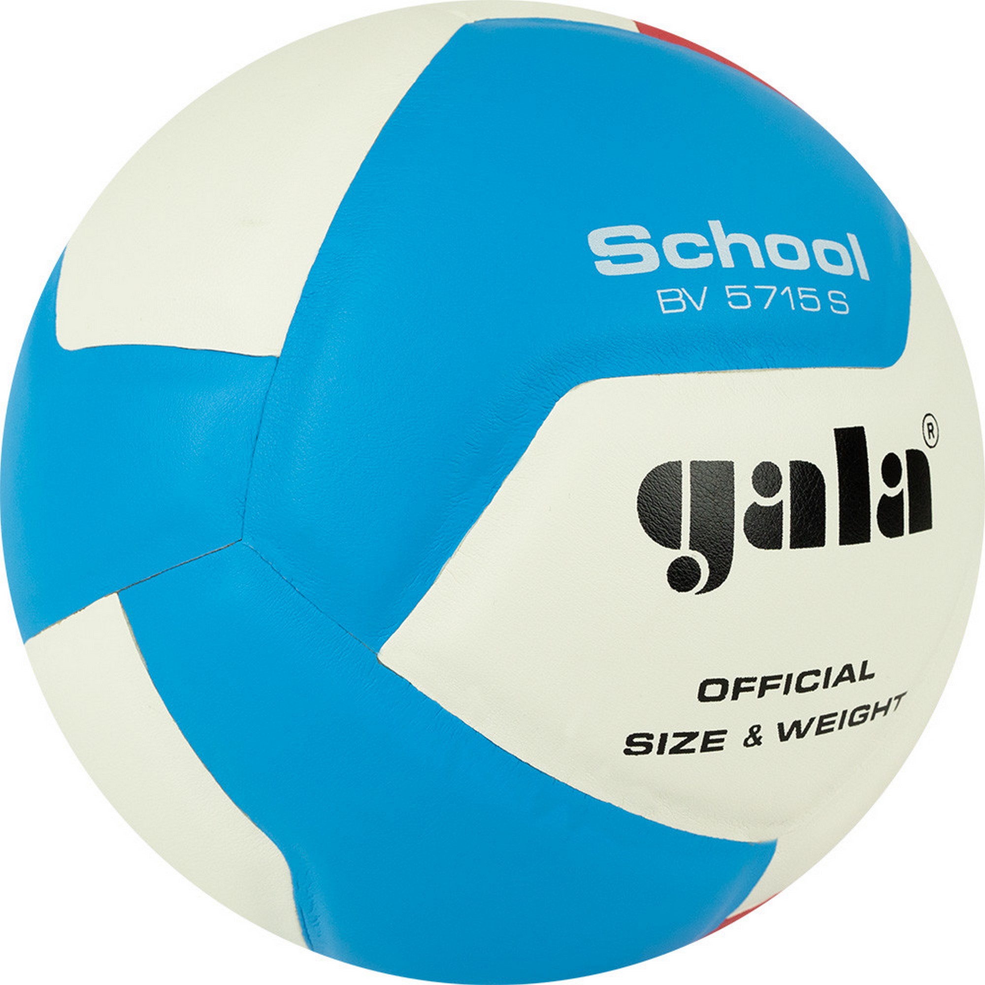 Мяч волейбольный Gala School 12 BV5715S р. 5