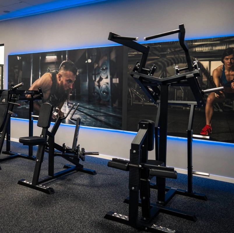 Gymleco 010 Горизонтальная тяга на свободных весах с нижним креплением рычагов | Premium Fitness