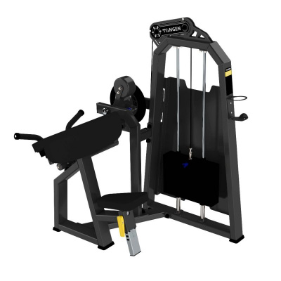 Бицепс и Трицепс сидя TANGEN A2087, стек 100 кг | Premium Fitness