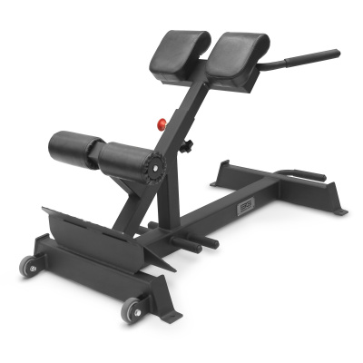 Bronze Gym AL-317 гиперэкстензия