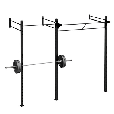 Функциональная рама пристенная  CrossFit SP CRF-W29