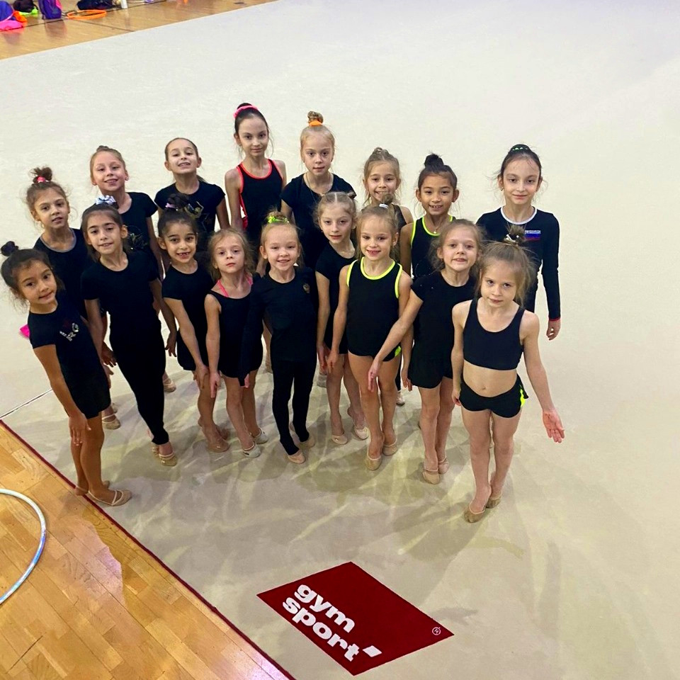 Ковер гимнастический GymSport PROF PREMIUM 4х2м