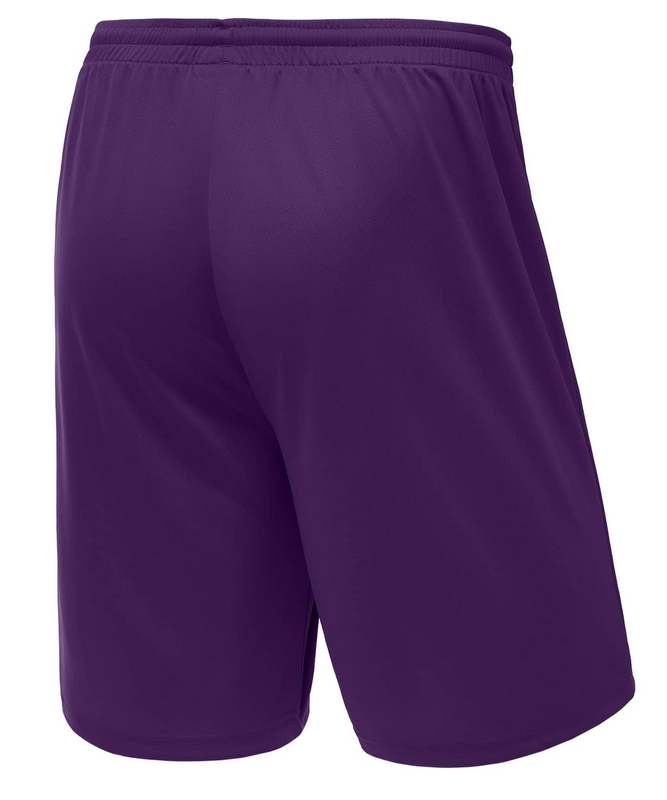 Шорты баскетбольные Jogel Camp Basic, фиолетовый