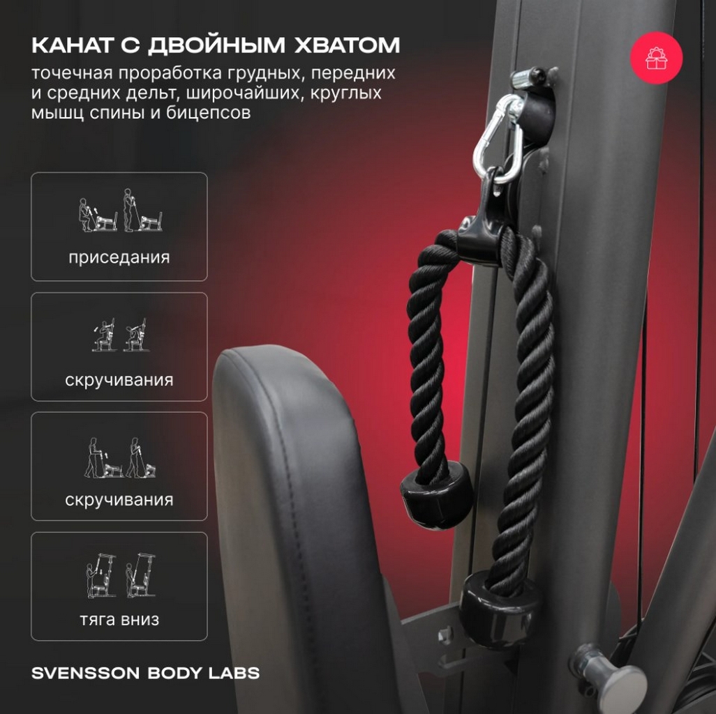 Силовой комплекс полукоммерческий Svensson Body Labs RIGEL PRO