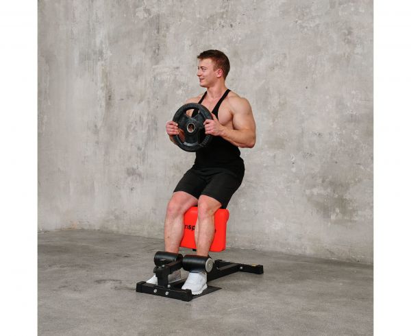 Тренажер для приседаний Sissy Squat DFC IN21715 | Premium Fitness