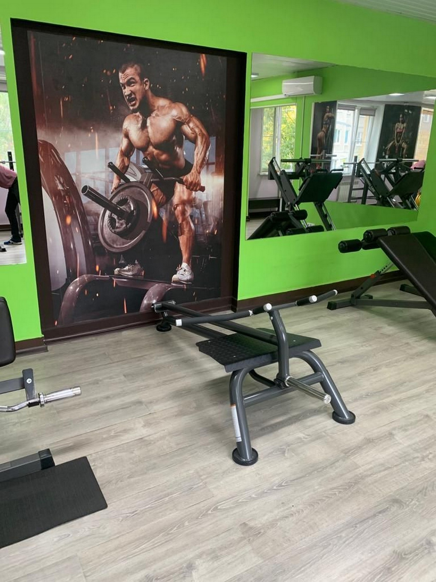 Тяга Т-образная Fitex Pro FTX-6236 | Premium Fitness