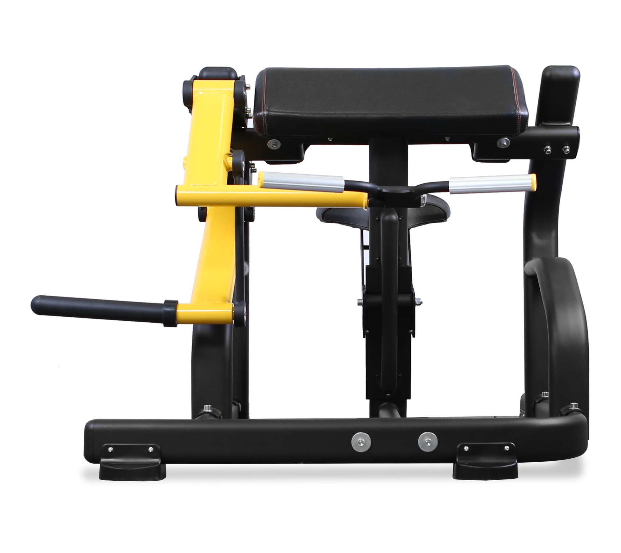 Bronze Gym PL-1713 Бицепс | Premium Fitness