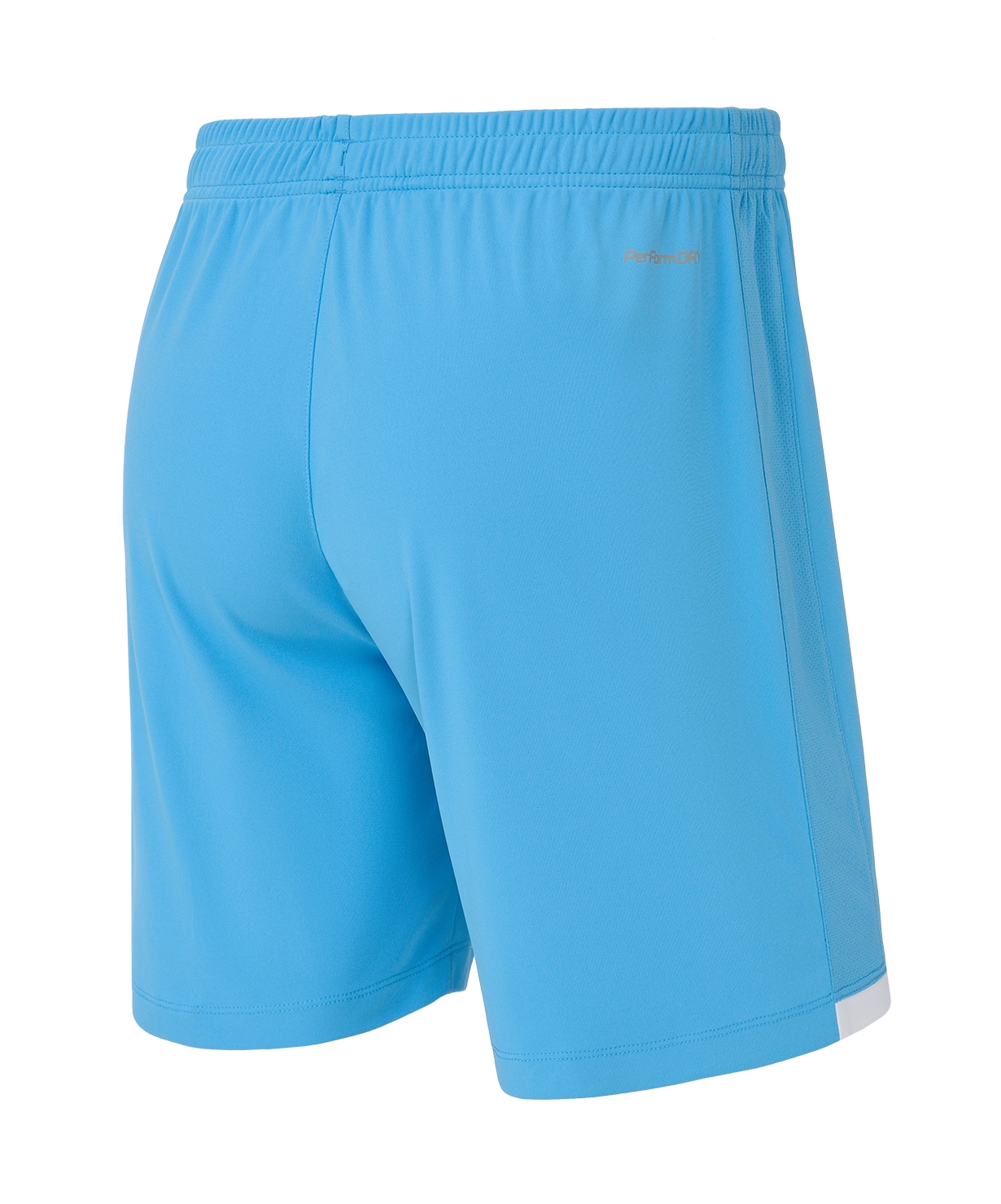 Шорты игровые Jogel DIVISION PerFormDRY Union Shorts, голубой