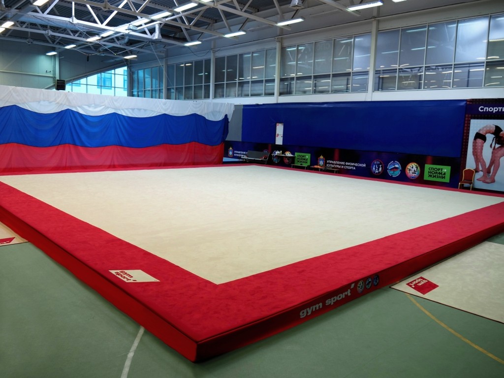Ковер для спортивной гимнастики и акробатики GymSport STRONG PREMIUM RED 14x14