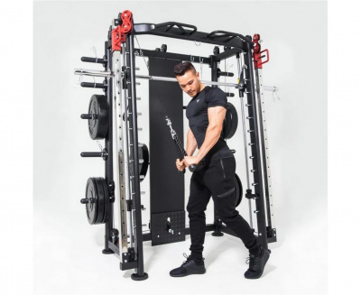 Мультистанция, машина Смита DFC Gorilla Sport 100822