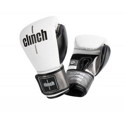 Перчатки боксерские Clinch Punch 2.0 C141 бело-черно-бронзовый