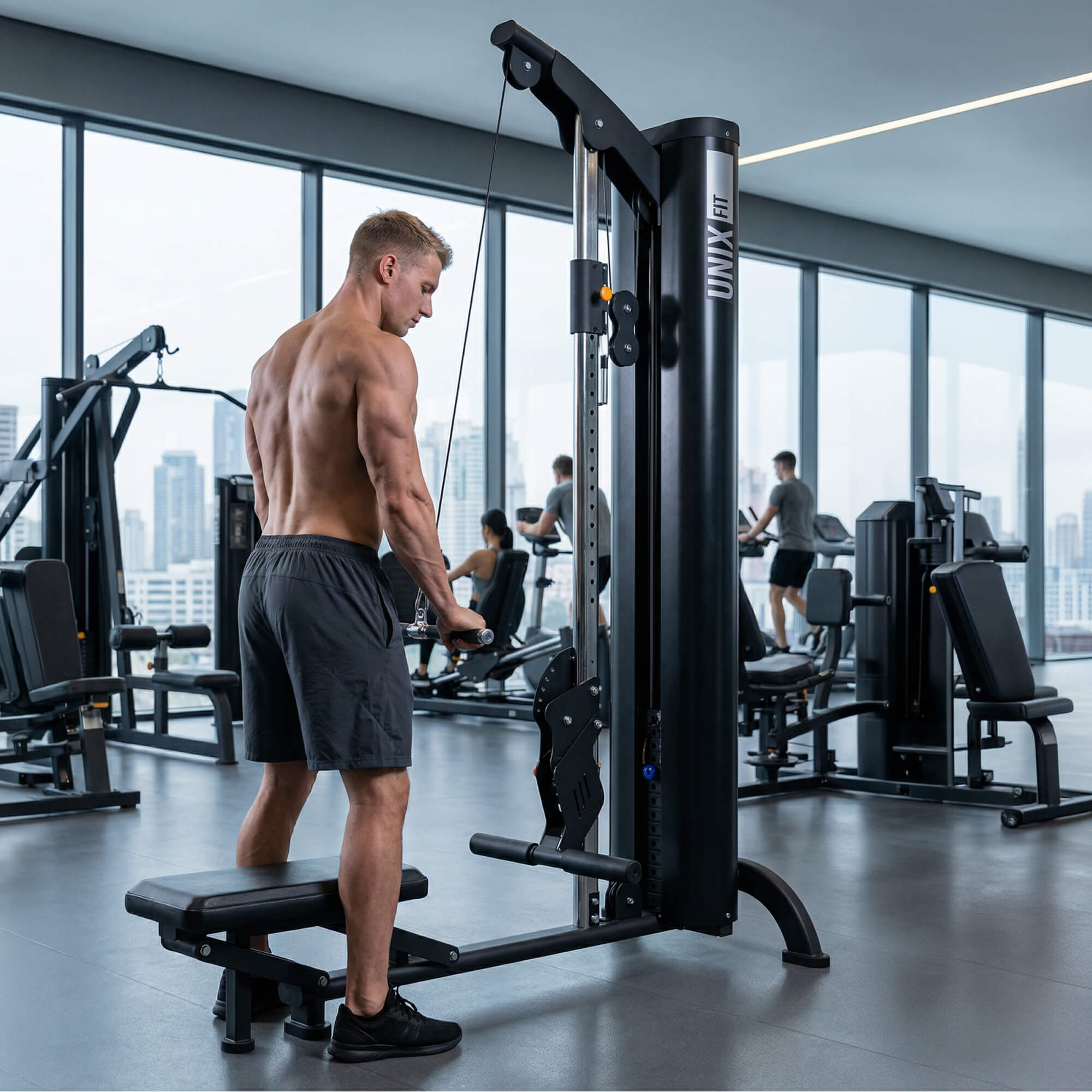 Тяга универсальная вертикальная\горизонтальная UnixFit 100 PRO (UC-9901)