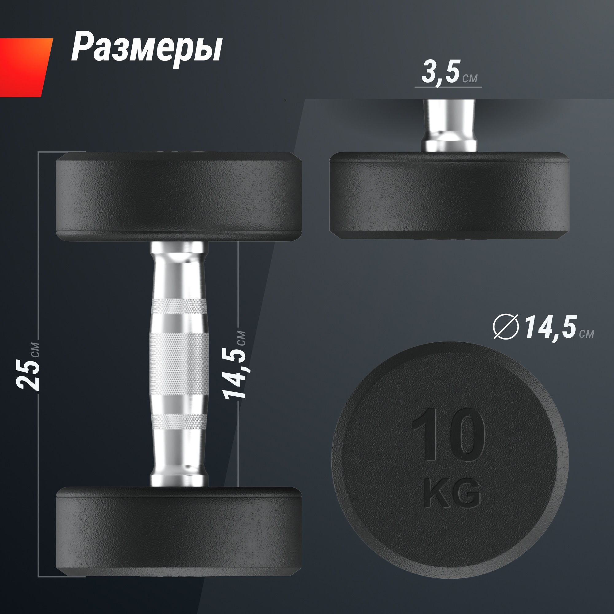 Гантель круглая обрезиненная 10 кг UnixFit PRO DBRND10PBKx2 2 шт
