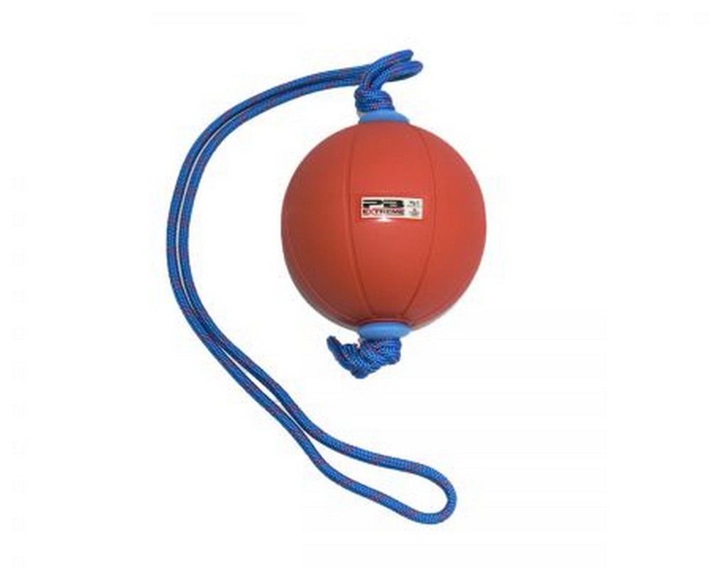Функциональный мяч 3 кг Perform Better Extreme Converta-Ball 3209-03-3.0 синий