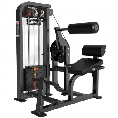ProTrain CP121 Разгибание спины