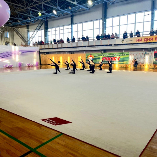 Ковер для эстетической гимнастики GymSport PROF PREMIUM 14х14м