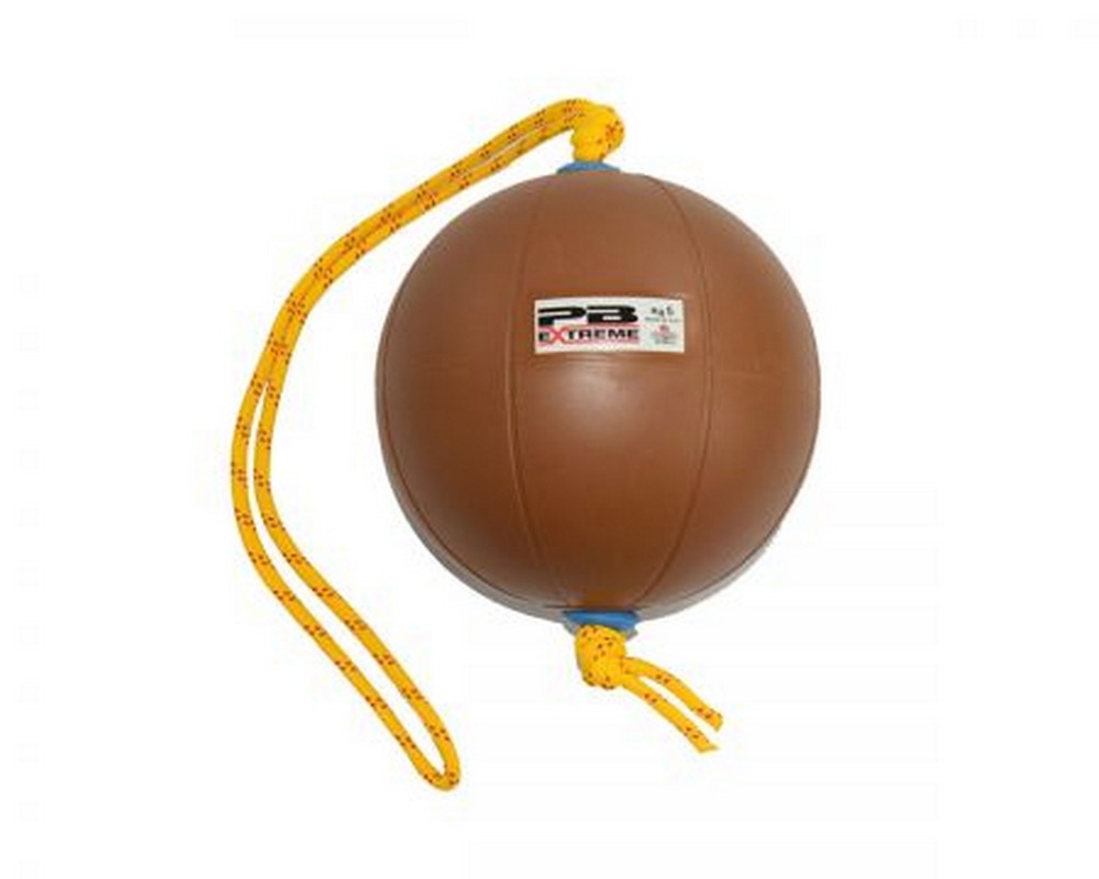 Функциональный мяч 3 кг Perform Better Extreme Converta-Ball 3209-03-3.0 синий