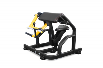 Bronze Gym PL-1713 Бицепс | Premium Fitness