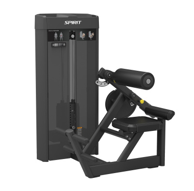 SPIRIT SP-4310 Разгибание спины