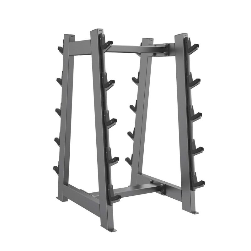 Стойка для штанг 10 шт DHZ A3055 | Premium Fitness