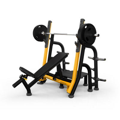 .Скамья для жима с положительным наклоном с доводчиком Matrix Magnum MG-A679 | Premium Fitness
